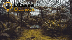 Curso de las capacitaciones rurales abiertas